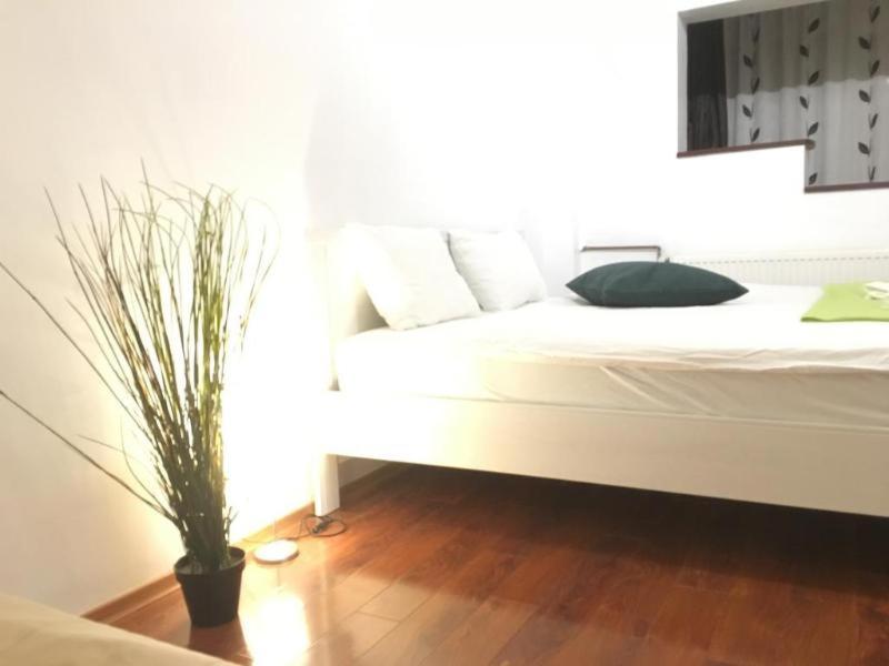 New Green Apartment Studio 1 ブカレスト 部屋 写真